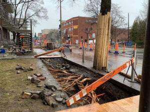protección del arbolado en obras