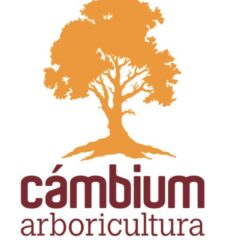 arboricultura