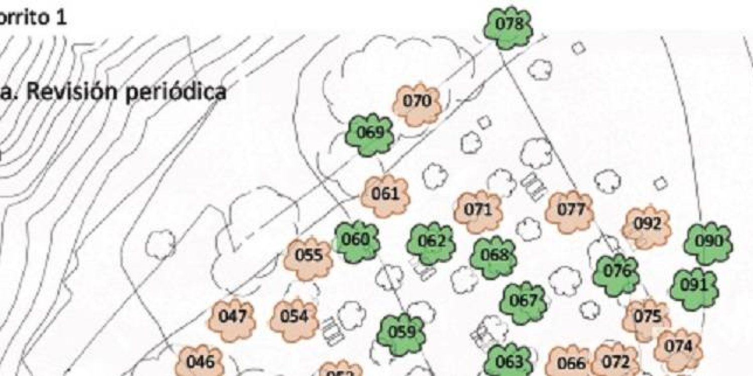 El Chorrito 1 reducida