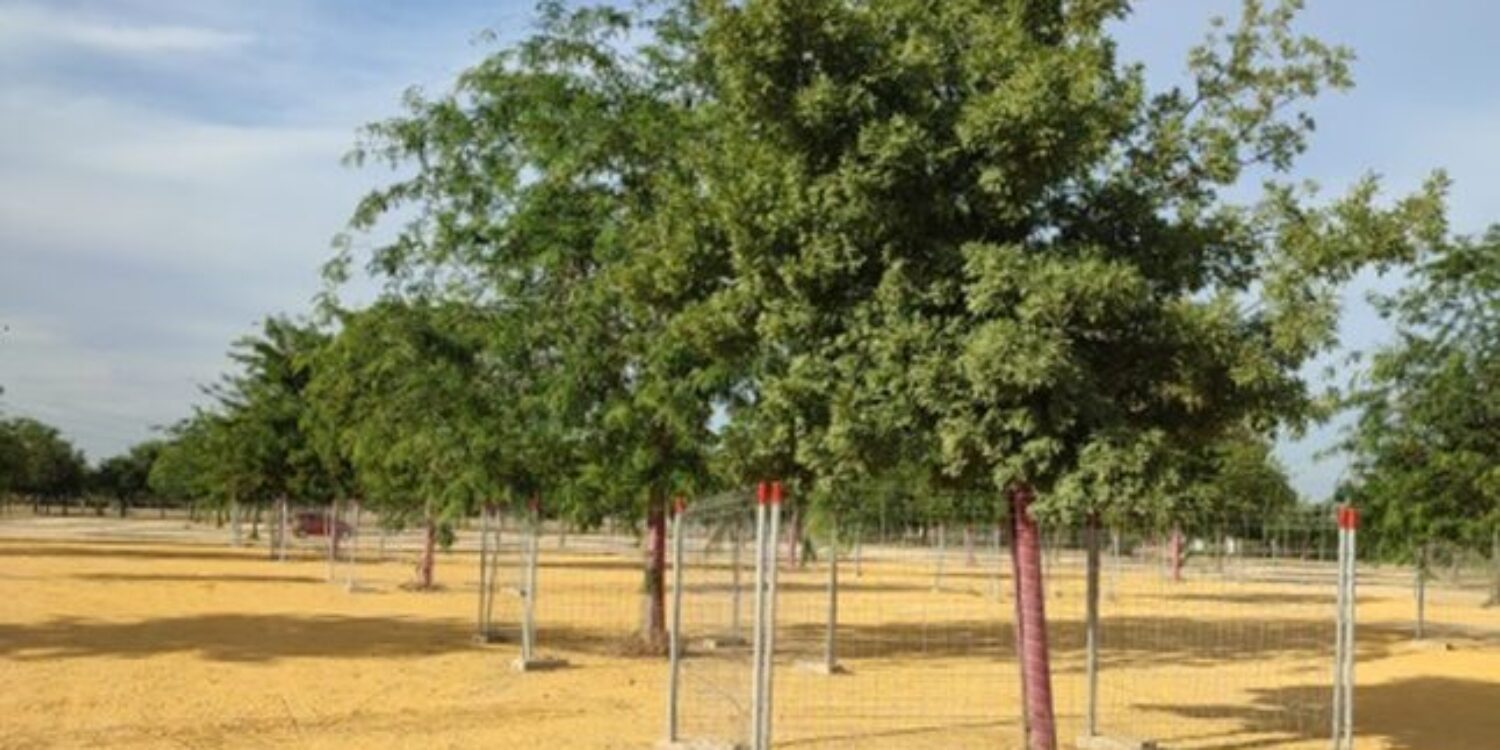 asistencia técnica en obras