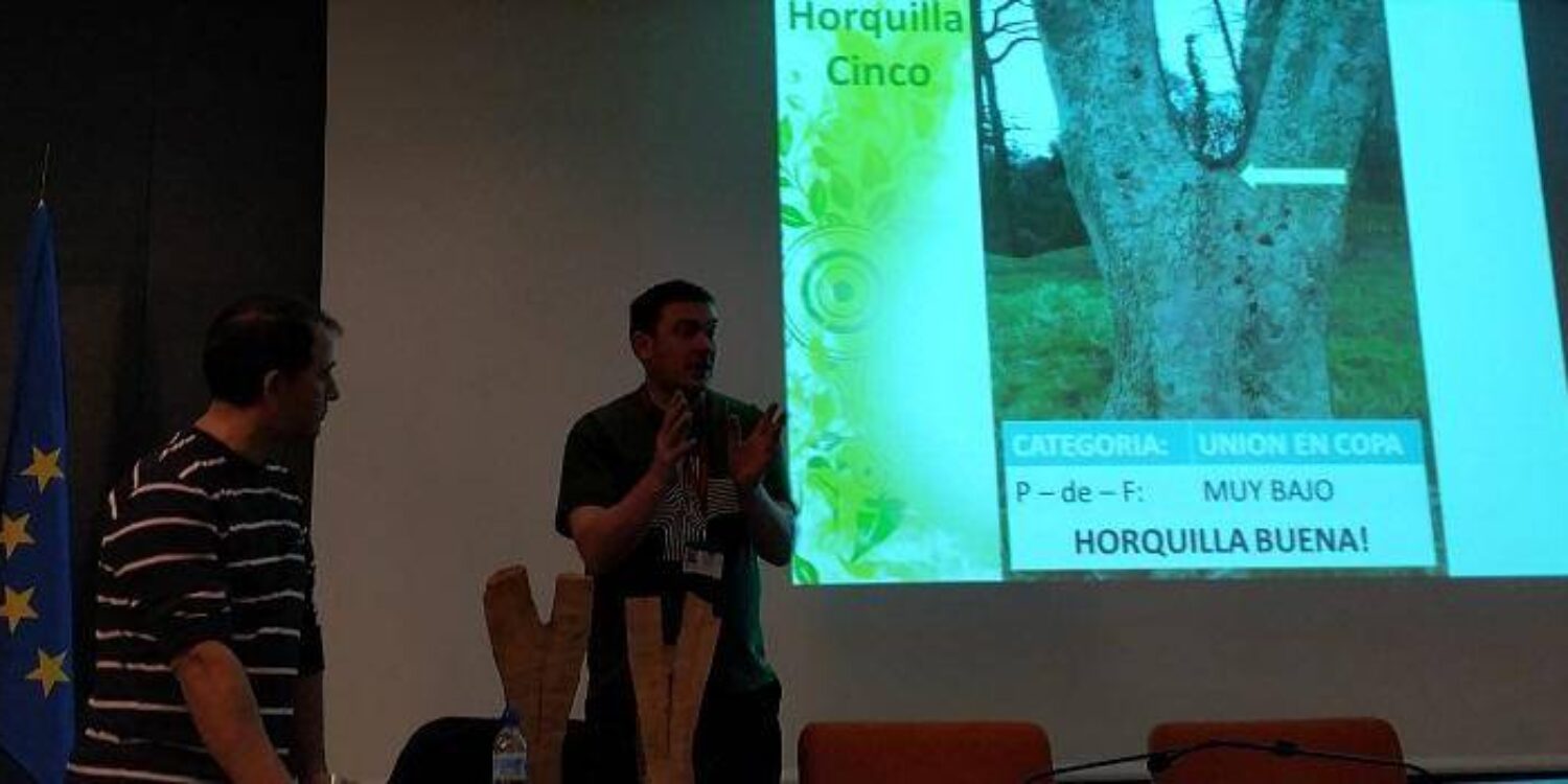 IMG_20190218_132124 recortada