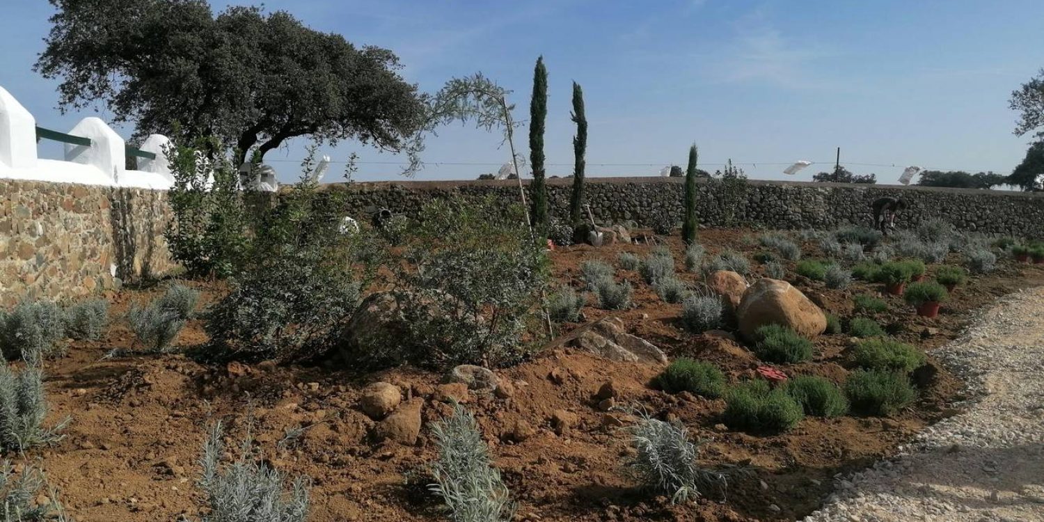 Plan-Ve-Finca-El-Ronquillo-18