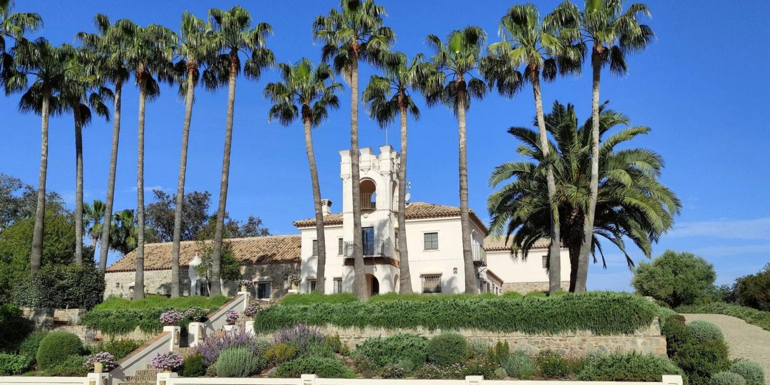 Plan-Ve-San-Pedro-08