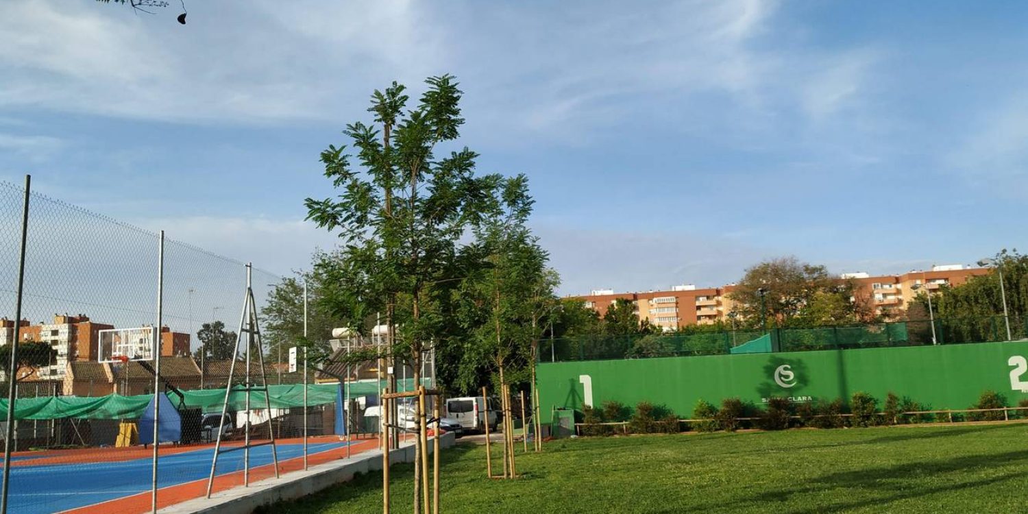 Plan-Ve-Santa--Clara-01