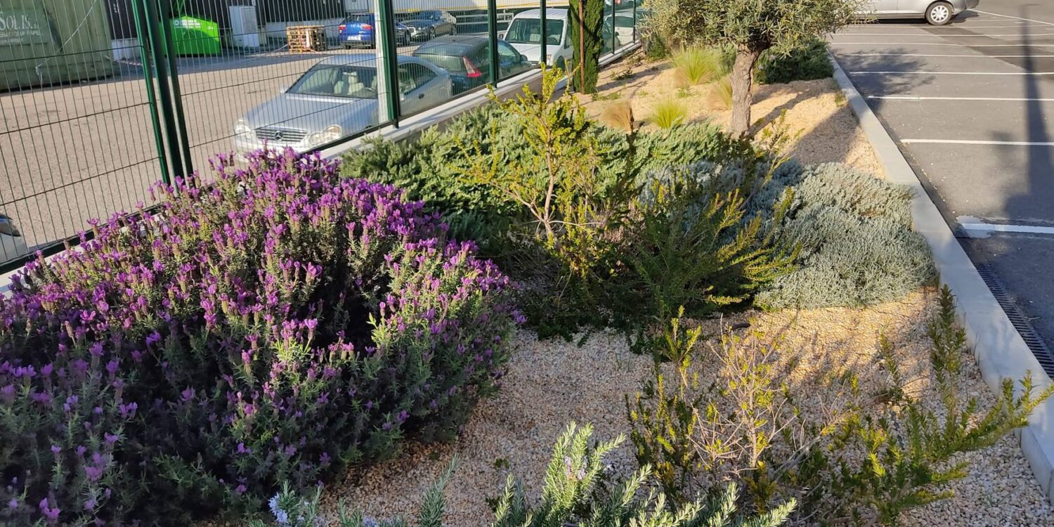 Plan-Ve-Surexport-06