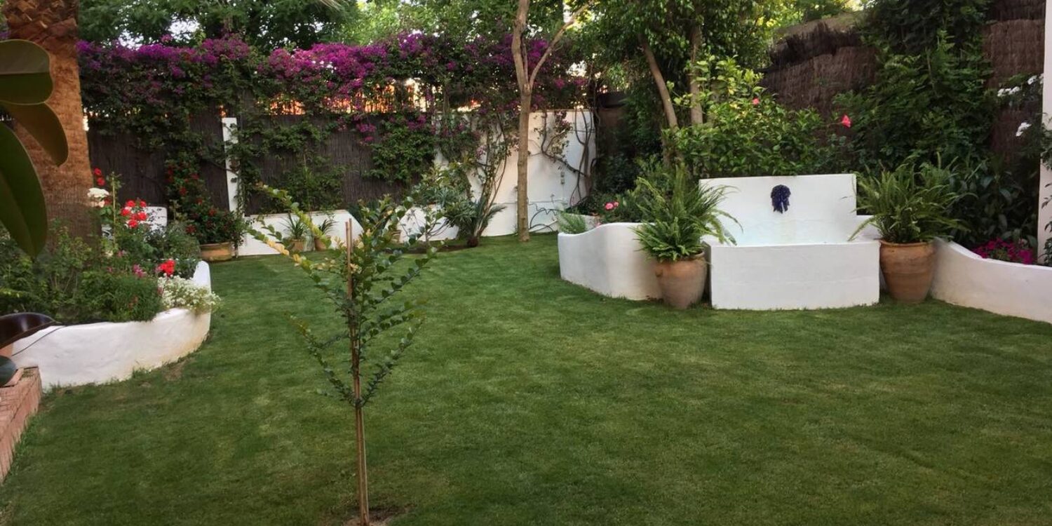 Plan-Ve-Tiro-De-Linea-07