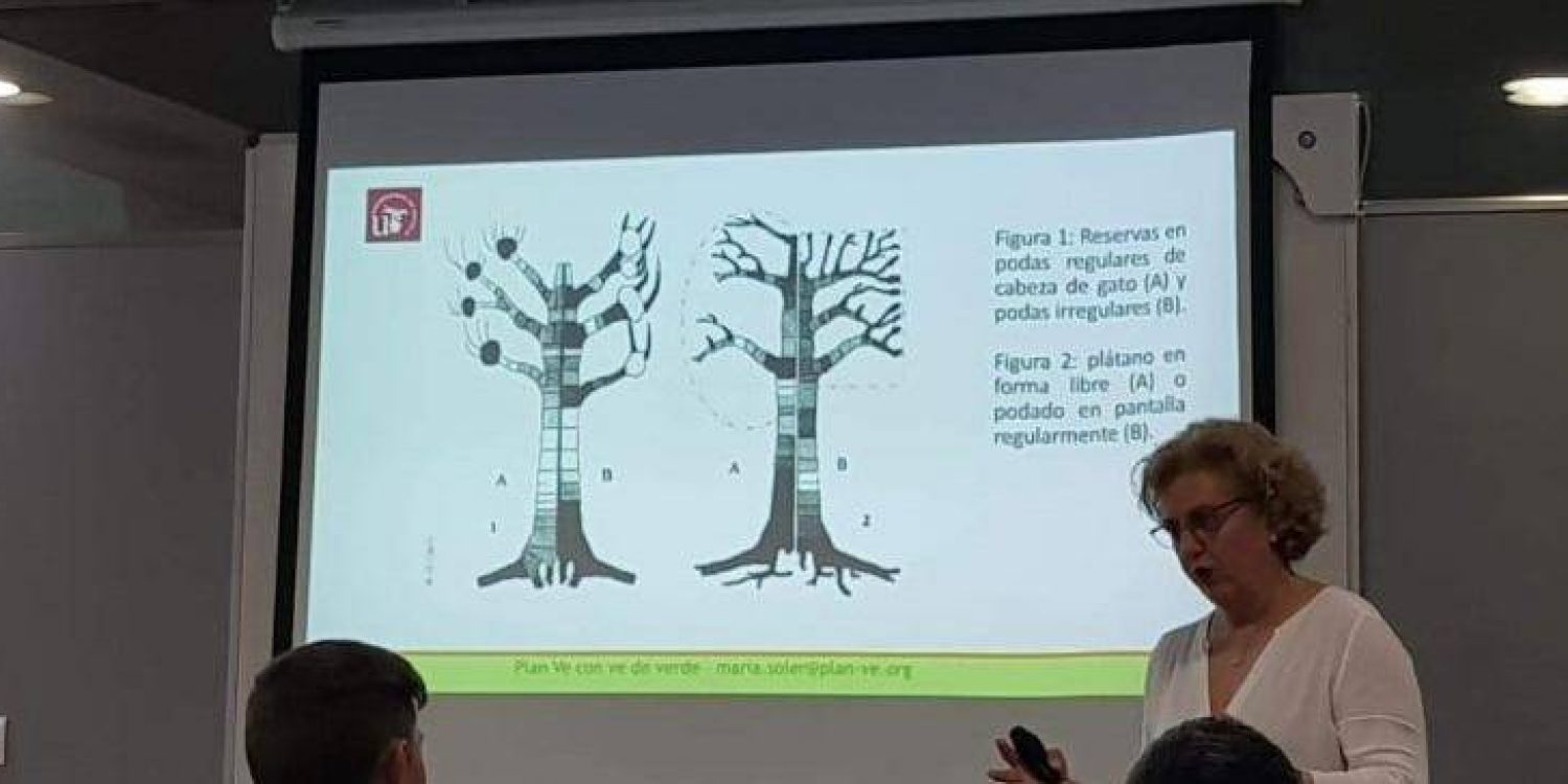 Yo-dando-clase-1024x497